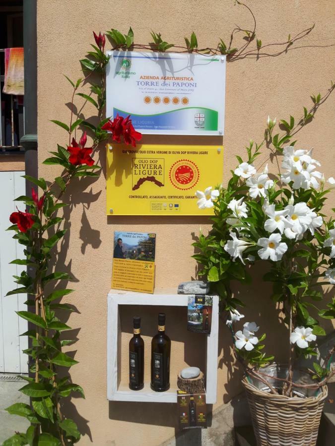Willa Loft Al Mare San Lorenzo al Mare Zewnętrze zdjęcie
